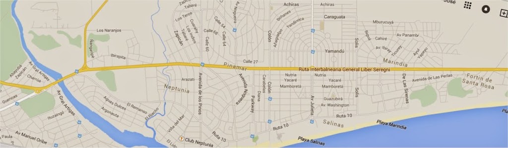 Emergencia (COVID !9) RED DE COLABORACIÓN – SALINAS